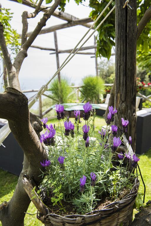 Villa Gianlica Праяно Екстер'єр фото